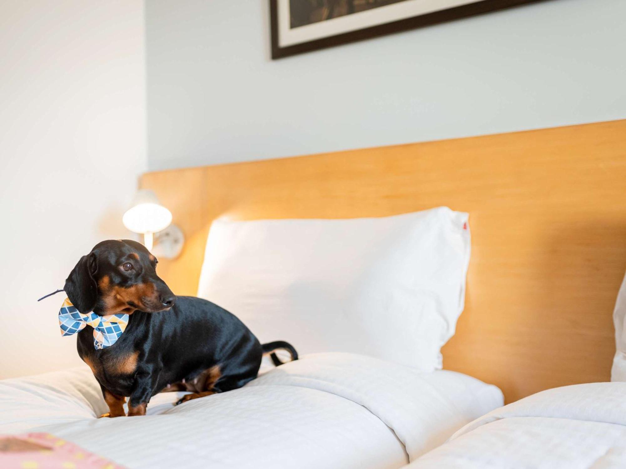 Ibis Stuttgart Airport Messe Otel Leinfelden-Echterdingen Dış mekan fotoğraf